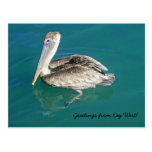 Greetings from Key West postcard