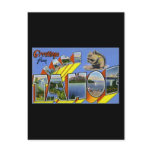 Greetings from Lake Tahoe Postcard