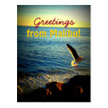 Greetings from Malibu! Postcard