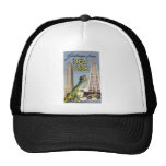 Greetings From New York Hat
