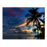 Greetings from Paradise Postcards