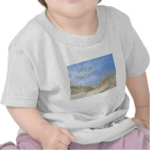 Greetings From Sunny OBX Sea Oats Items Tshirts