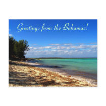 Greetings from the Bahamas! Postcard