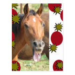 Greetings Postcard