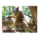 Greetings_ Postcard