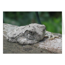 Grenouille d'arbre cartes de vœux