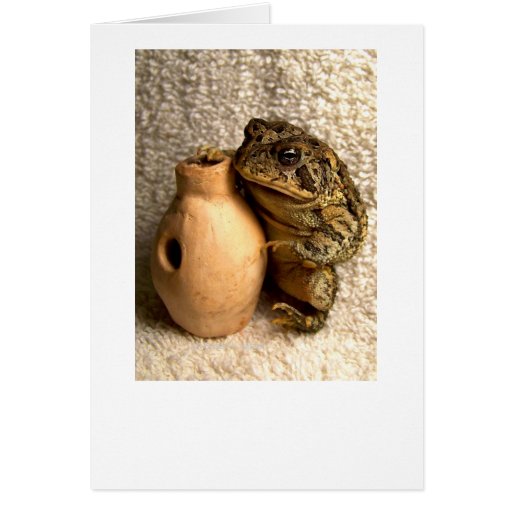 Grenouille de crapaud tenant la photographie minia cartes