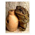 Grenouille de crapaud tenant la photographie minia carte postale