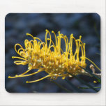 Grevillea'Honeybird Yellow' Mousepad