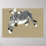 Grevy’s Zebra poster
