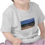 Grevy's Zebra - Mixed With Smaller Burchell's/Gran Tshirt