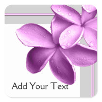 Grey and Eggplant Plumeria