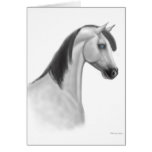Grey Arabian Horse Card