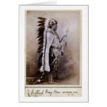 Grey Bear 1880 Cards