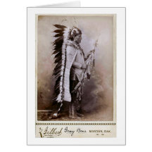 Grey Bear 1880 Cards