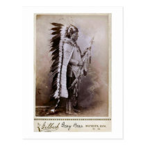Grey Bear 1880 postcards