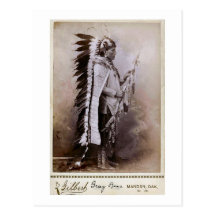 Grey Bear 1880 Postcard
