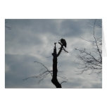Grey Bird Silhouette Greeting Card
