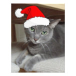 Grey Cat Invitations