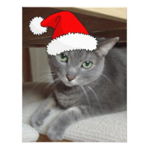 Grey Cat Invitations