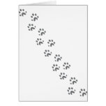 grey dog paws cards