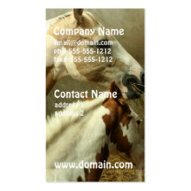 Grey Eventing Horse Business Cards