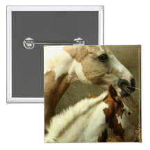 Grey Eventing Horse Button