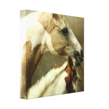 Grey Eventing Horse Canvas Print