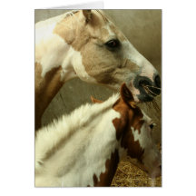 Grey Eventing Horse Greeting Card