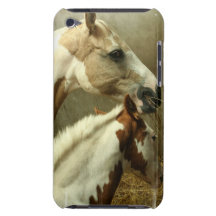 Grey Eventing Horse iTouch Case iPod Touch Case-Mate Case