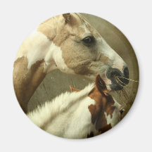 Grey Eventing Horse Magnet