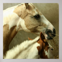 Grey Eventing Horse Poster