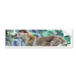 Grey Fox Bumper Sticker