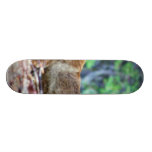 Grey Fox Skate Board Deck