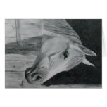 Grey Horse Card