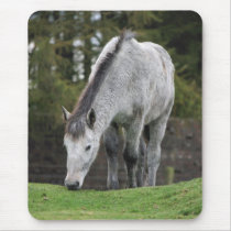 Grey Horse Mousepad
