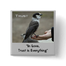 Grey Jay Motivational Buttons