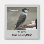 Grey Jay Motivational Magnets