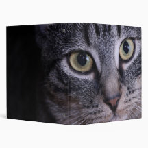 Grey Kitten Face 3 Ring Binder