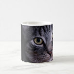 Grey Kitten Face Coffee Mugs