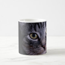 Grey Kitten Face Coffee Mugs