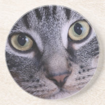 Grey Kitten Face Drink Coaster
