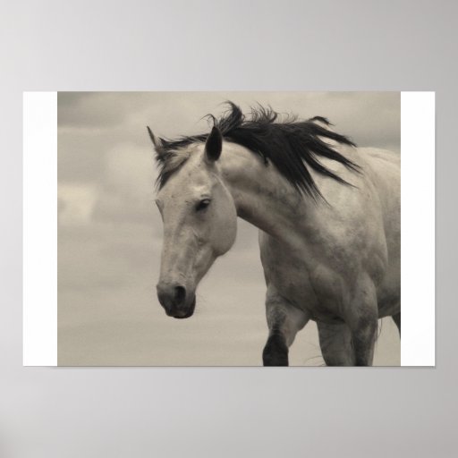 Grey Mare Print