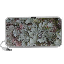 Grey Moss Speakers speakers