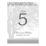 Grey Oak Tree Winter Wedding Table Number Postcards
