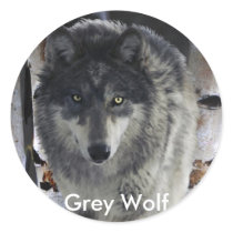 GREY PACK WOLF Collection Stickers