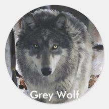 GREY PACK WOLF Collection Stickers