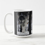 GREY PACK WOLF Wildlife Gift Mugs