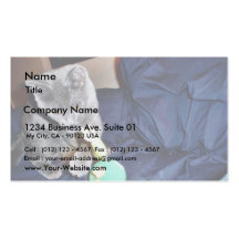 Grey Playing Cat At Home Business Cards