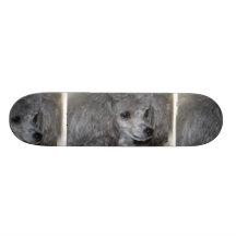Grey Poodle Skateboard